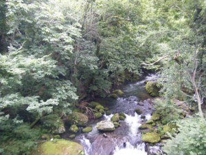 DSCF8316s