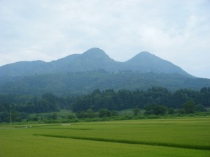 DSCF8331s