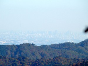 DSC00476s