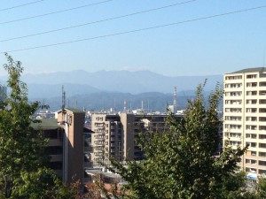 IMG_1378s