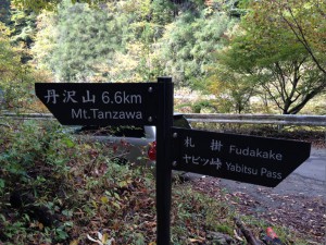 IMG_1394s