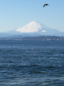 IMG_1576s