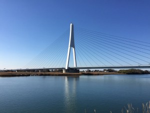 IMG_1590s
