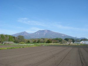 DSCF8570s