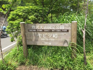 IMG_1924s