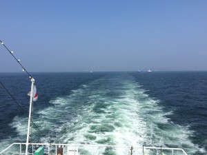 IMG_1956s