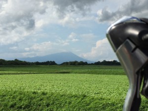 IMG_2015s