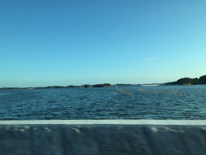 IMG_2022s