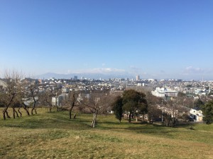 IMG_1561s