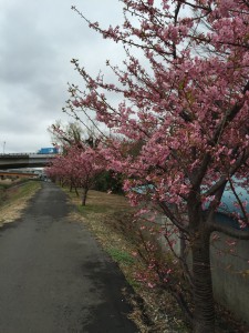 IMG_1646s