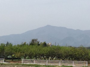 IMG_1756s