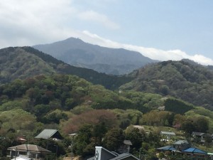 IMG_1763s