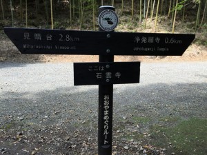 IMG_1768s