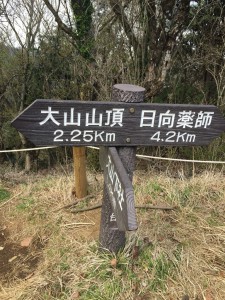 IMG_1774s