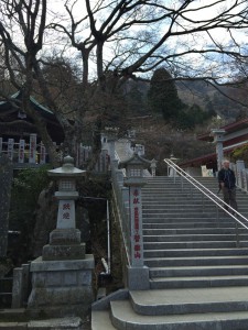 IMG_1775s