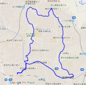 20141221rote