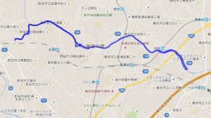 20141227rote
