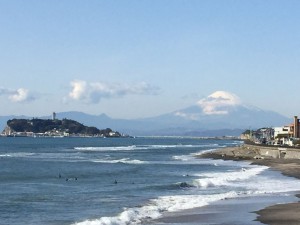 IMG_1515s