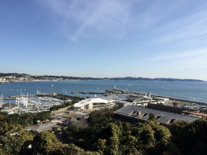 IMG_1519s