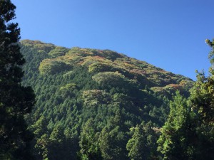 IMG_2223s