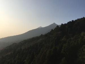 IMG_2236s