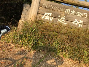 IMG_2237s