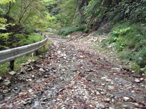 IMG_1355s