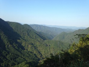 IMG_1365s