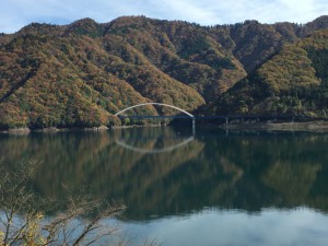 IMG_2295s