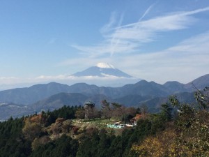 IMG_2304s