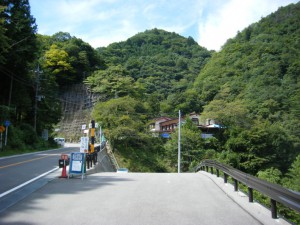 DSCF8359s