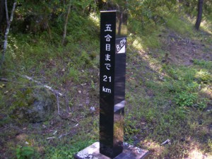DSCF8380s