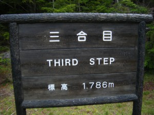 DSCF8406s