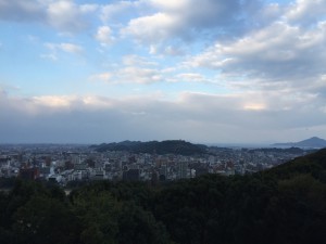 IMG_2365s
