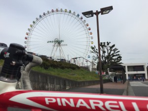 IMG_2387s