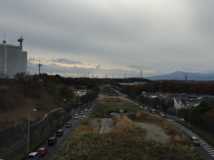 IMG_2388s