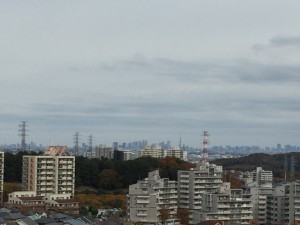IMG_2389s