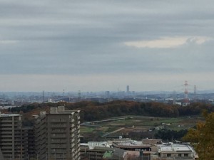 IMG_2390s