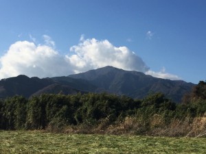 IMG_2437s