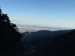 IMG_2453s