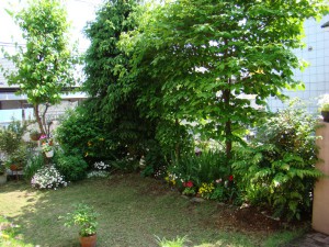 2009_05s