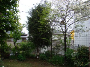 2012_04s