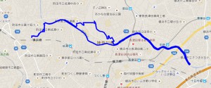 2016_0131rote