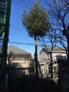 IMG_2552s