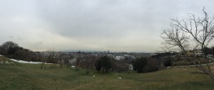 IMG_2603s