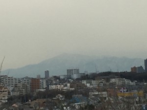 IMG_2604s