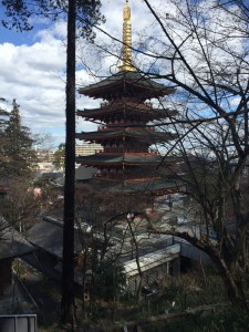 IMG_3111s