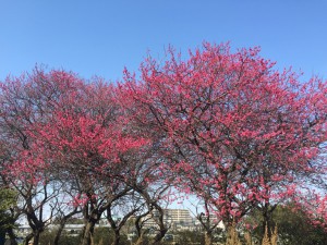 IMG_3129s