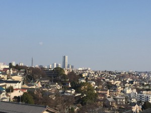 IMG_3131s