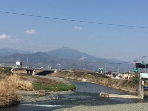 IMG_3137s